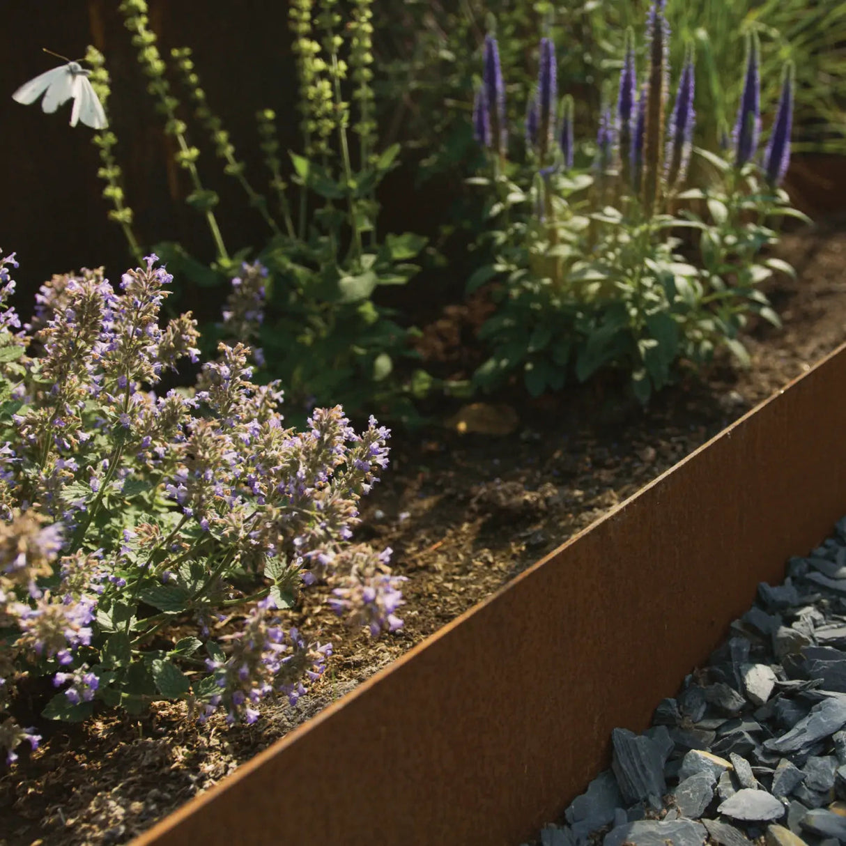 CORE EDGE Domestic Lawn Edging (Pack of 5 Linear Metres) Pure Clean Rental Solutions