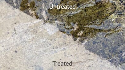 Nexus Projoint Black Spot & Algae Remover Pure Clean Rental Solutions