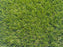 Acer 23mm Artificial Grass Gardening Pure Clean Rental Solutions 