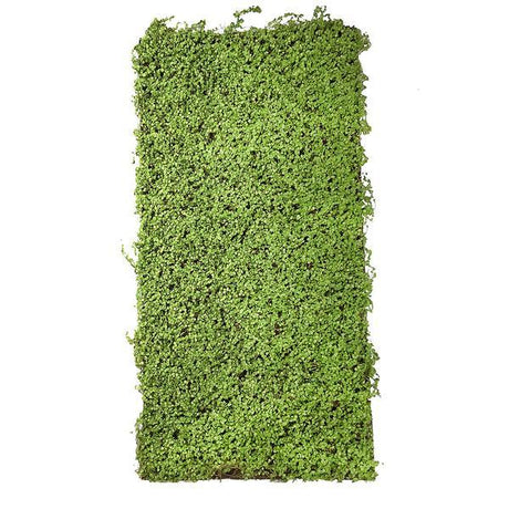 Artificial Green Twig Moss Panel 100x50 cm Pure Clean Rental Solutions