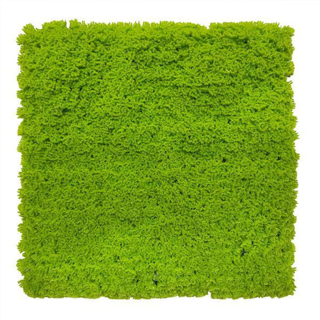 Artificial Lime Green Moss Panel 100x100 cm Pure Clean Rental Solutions