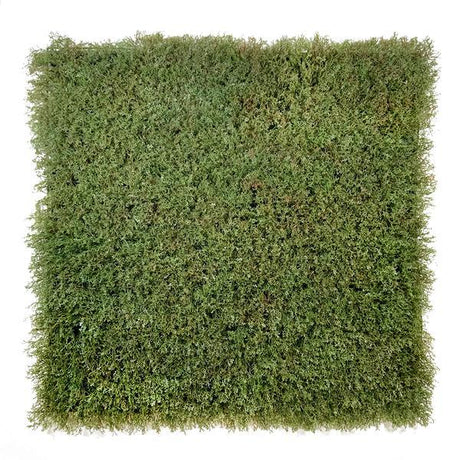 Artificial Olive Green-Brown Reindeer Moss Panel 100x100 cm Pure Clean Rental Solutions