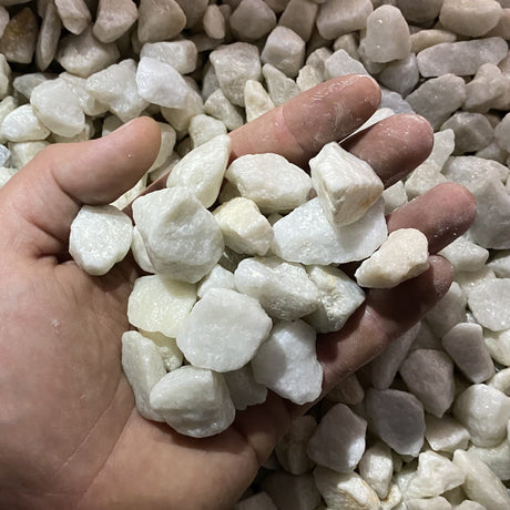 Polar White 20mm Pure Clean Rental Solutions