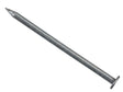 Round Head Nails - Galvanised Pure Clean Rental Solutions