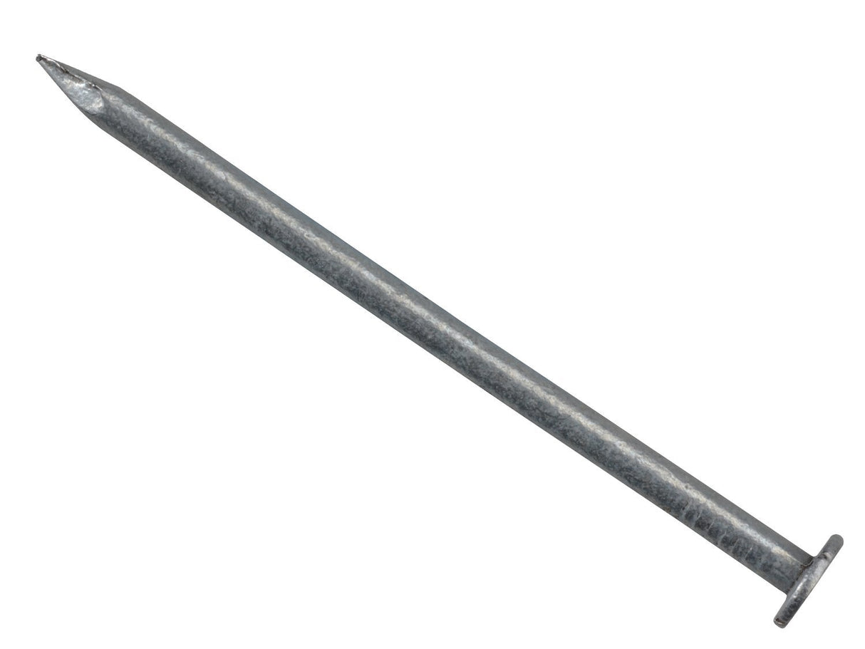 Round Head Nails - Galvanised Pure Clean Rental Solutions