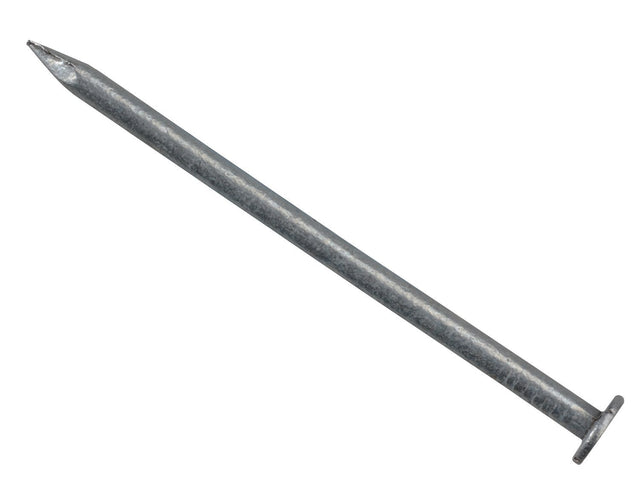 Round Head Nails - Galvanised Pure Clean Rental Solutions