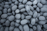 Smokeless Coal 20KG bags Pure Clean Rental Solutions 