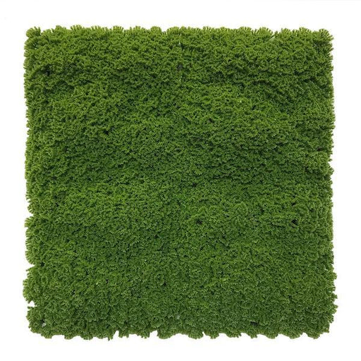 Artificial Green Moss Panel 100x100 cm Pure Clean Rental Solutions 