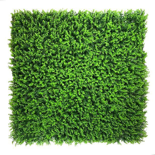 Artificial Green Wall Mixed Plant Panel with Button Moss 100x100 cm Pure Clean Rental Solutions 
