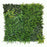 Artificial Green Wall Panel with Ferns Asparagus Eucalyptus, Yellow Fern, Privets and White Flowers - 100x100 cm Pure Clean Rental Solutions 