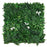 Artificial Green Wall Panel with variegated foliage and calla lillies 100x100 cm Pure Clean Rental Solutions 