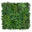 Artificial Green Wall Panel with variegated foliage and trailing yellow flowers 100x100 cm Pure Clean Rental Solutions 