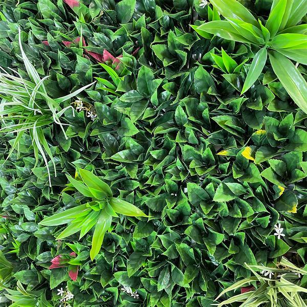 Artificial Green Wall Panel with Variegated Mixed Green Foliage, Grasses, Palms with Red, Yellow and White Foliage 100x100 cm Pure Clean Rental Solutions 
