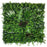 Artificial Green Wall Panel with variegated mixed greens red and white foliage 100x100 cm Pure Clean Rental Solutions 