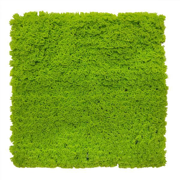 Artificial Lime Green Moss Panel 100x100 cm Pure Clean Rental Solutions 