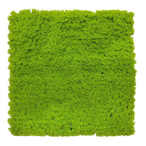 Artificial Lime Green Moss Panel 100x100 cm Pure Clean Rental Solutions 