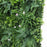 Artificial Living Wall, mixed 3d light-dark green foliage with scheffleras & pink flowers Pure Clean Rental Solutions 