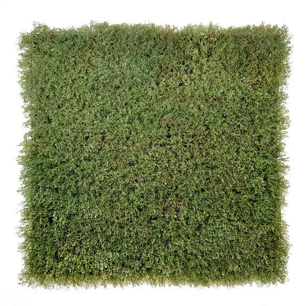 Artificial Olive Green-Brown Reindeer Moss Panel 100x100 cm Pure Clean Rental Solutions 