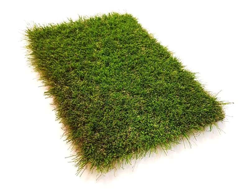 Birch 38mm Artificial Grass Lawn & Garden Pure Clean Rental Solutions 