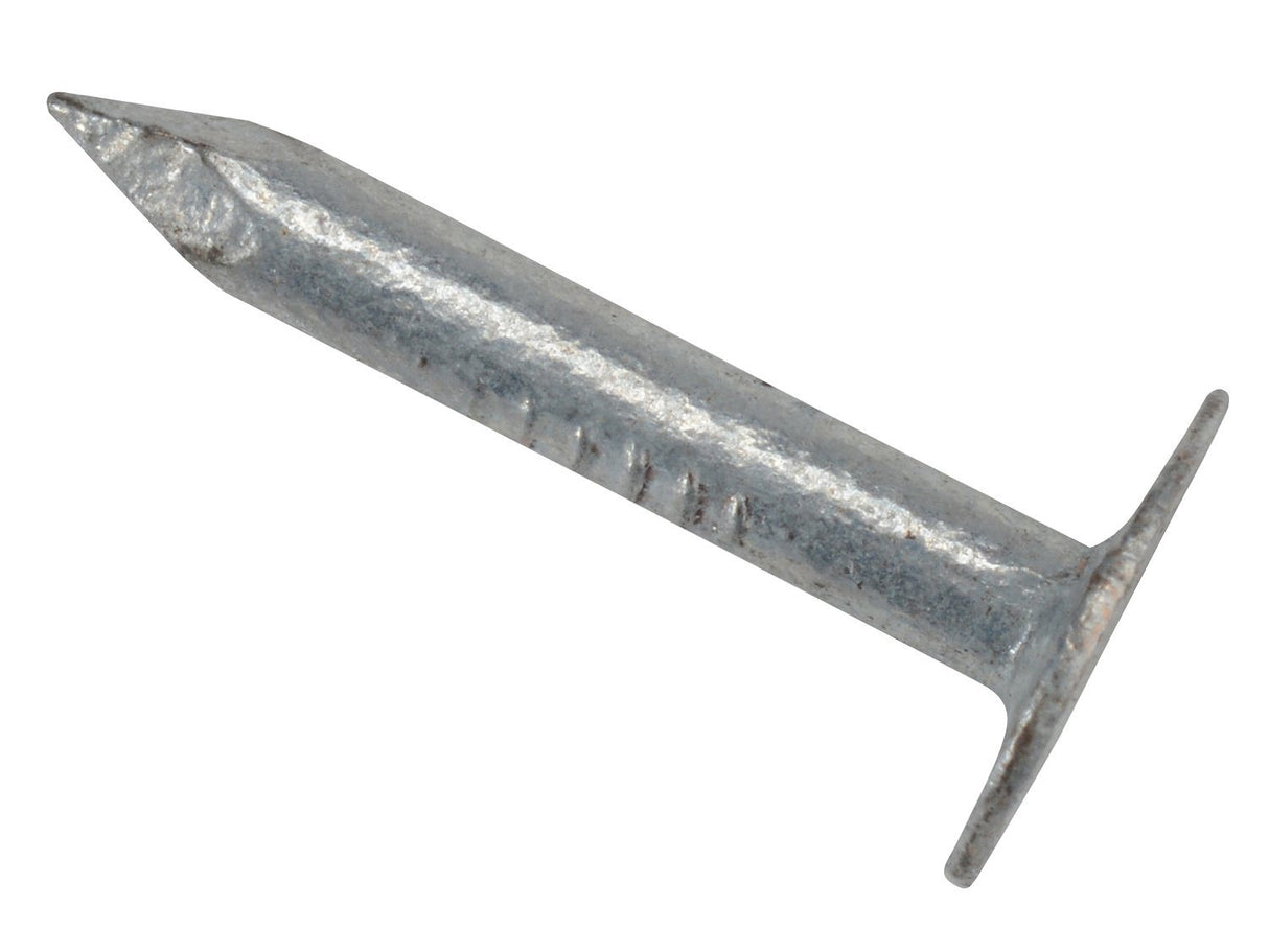 Felt Nails Extra Large Head - Galvanised - Bag Pure Clean Rental Solutions 