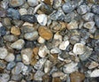 Lydd Pearl (Oyster) 20mm Pure Clean Rental Solutions 